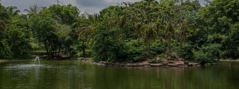 Guembe Biocentro & Resort Santa Cruz de La Sierra Ngoại thất bức ảnh